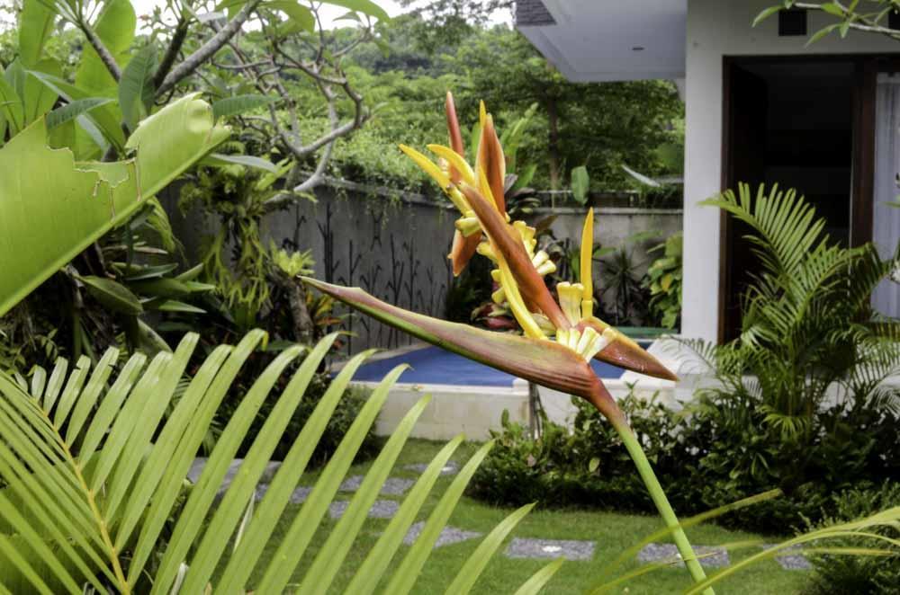 Beluran Serene Guesthouse Selemadeg Exterior foto