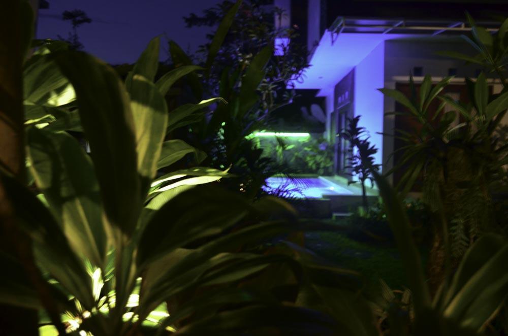 Beluran Serene Guesthouse Selemadeg Exterior foto