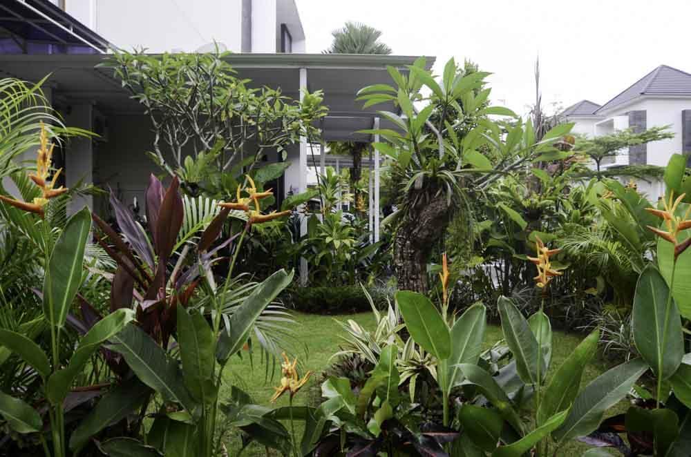 Beluran Serene Guesthouse Selemadeg Exterior foto