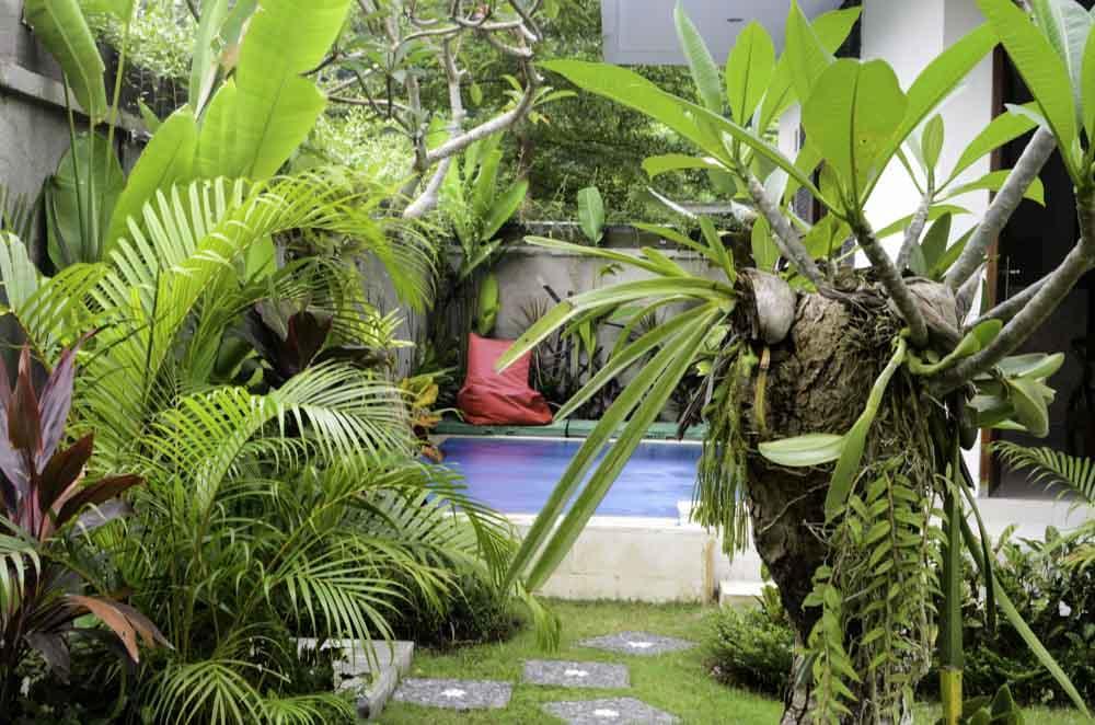 Beluran Serene Guesthouse Selemadeg Exterior foto